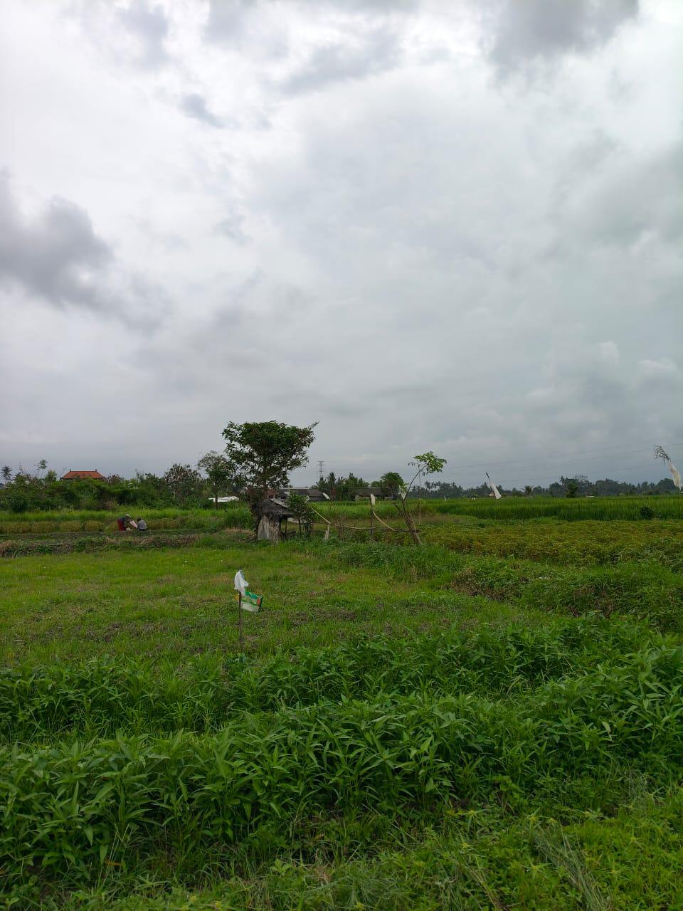 1c4451d6-215c-4abf-8b86-e7ad31cec9fe