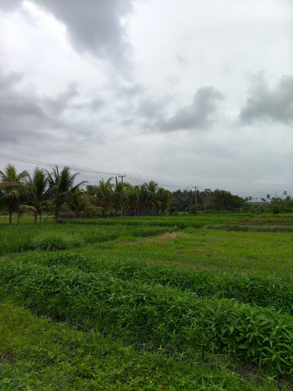 9856fa34-5d07-4144-838a-fcd06685ac55